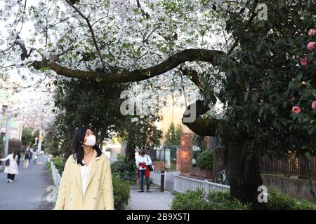 Tokyo, Japon. 22 mars 2020. Une femme portant un masque cherche à admirer la cerisier par la rue à Tokyo, Japon, 22 mars 2020. Le ministère japonais de la santé et les gouvernements locaux ont déclaré mercredi que 41 nouvelles infections à COVID-19 avaient été confirmées à Tokyo, tandis que 66 nouveaux cas avaient été confirmés par 12 autres autorités locales, ce qui porte le nombre total de personnes infectées au Japon à 1 277 à 20 h, heure locale. Crédit: Du Xiaoyi/Xinhua/Alay Live News Banque D'Images