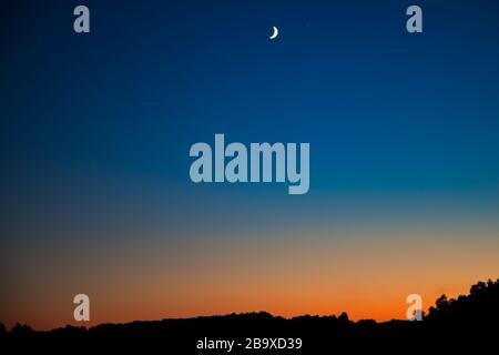 Silhouettes d'arbres sous le ciel bleu et la demi-lune Au coucher du soleil à Morgantown Banque D'Images