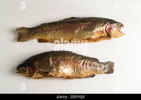 Poisson fumé froid. Truite de rivière, arc-en-ciel, doré, lac, Karelian froid fumé sur fond blanc Banque D'Images