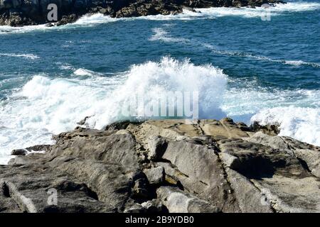 Vagues sauvages se brisant contre les roches. Galice, Espagne. Banque D'Images