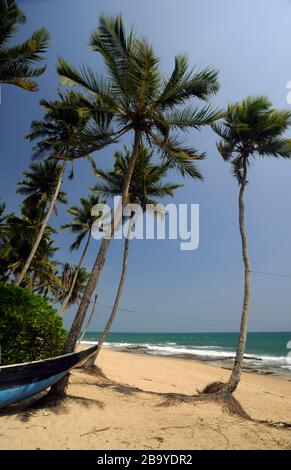 Sri Lanka, Plage De Tangalle Banque D'Images