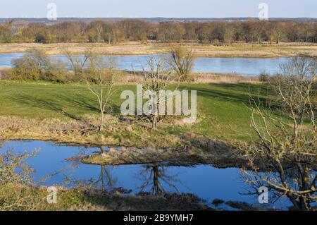 Lebus, Allemagne. 23 mars 2020. Vue sur les pistes de l'Oder dans le quartier Märkisch-Oderland, sur la frontière germano-polonaise Oder. Crédit: Patrick Pleul/dpa-Zentralbild/ZB/dpa/Alay Live News Banque D'Images