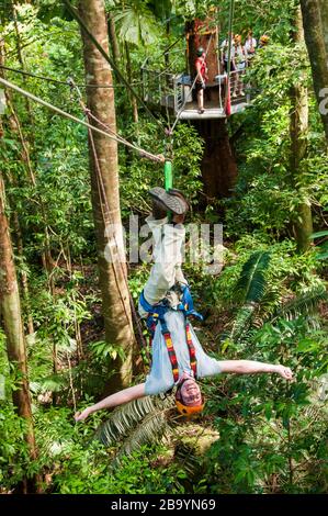 L'homme monte la tyrolienne à l'envers, Jungle Surfing, Cape Tribulation, Queensland, Australie. Banque D'Images