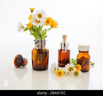 Médecine alternative à base de plantes. Bouteilles médicales en verre et fleurs sauvages fraîches isolées sur fond blanc. Huile essentielle, cosmétiques, médicaments contai Banque D'Images