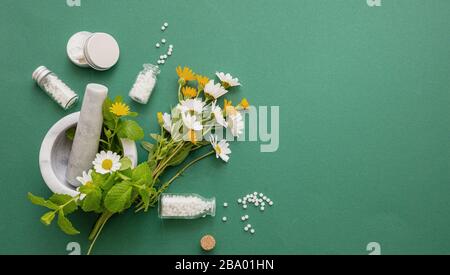 Médecine alternative à base de plantes. Globules homéopathiques, fleurs sauvages fraîches et herbes sur fond vert. Aromathérapie, produits naturels homéopathie Banque D'Images