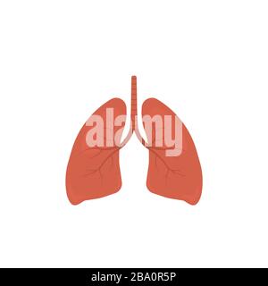 Illustration vectorielle des poumons humains Illustration de Vecteur