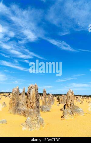 Les Pinnacles, le parc national Nambung, Cervantes, Australie occidentale, Australie Banque D'Images