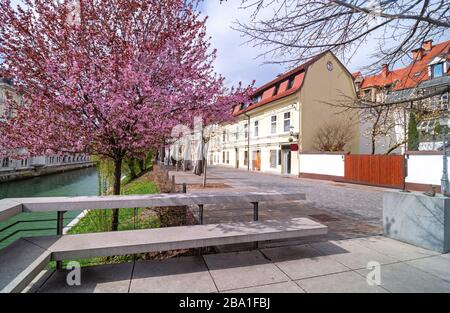 Les rues vides du vieux centre-ville de Ljubljana le dimanche matin de printemps, habituellement remplies de personnes, en raison de la quarantaine du coronavirus, Ljubljana, Slovénie Banque D'Images