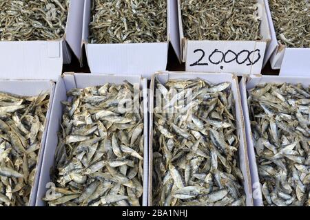 Le marché aux poissons, le quartier de Nampo, Busan, Corée du Sud, Asie Le marché aux poissons, le quartier de Nampo, Busan, Corée du Sud, Asie