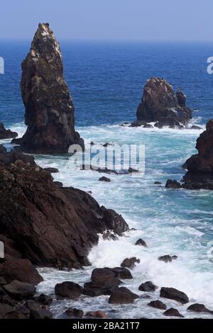 Cap Seopjikoji, île de Jeju, Corée du Sud, Asie Banque D'Images