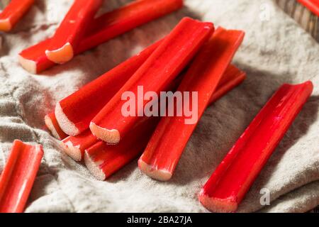 Bâtonnets de rhubarbe rouge biologique brut prêts à cuisiner avec Banque D'Images