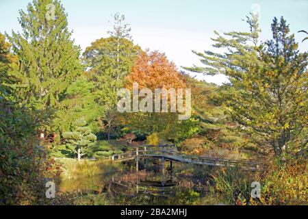 Mytois jardins de style japonais, Chappaquiddick, Martha’s Vineyard, Massachusetts, États-Unis Banque D'Images