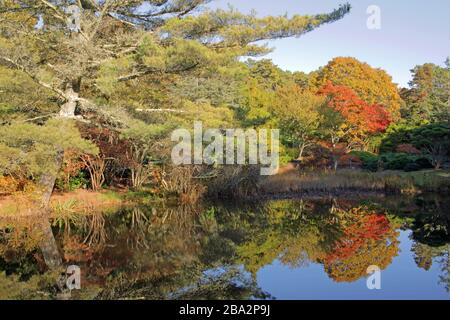 Mytois jardins de style japonais, Chappaquiddick, Martha’s Vineyard, Massachusetts, États-Unis Banque D'Images