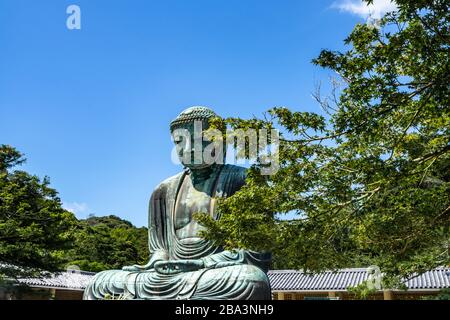 Vue panoramique sur le Grand Bouddha de Kamakura en une journée d'été claire, au Japon Banque D'Images
