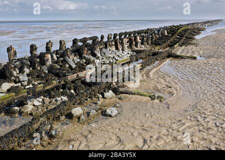 Systèmes de pistes de sauvetage sur la centrale électrique Minsener OOG, parc national de la mer des Wadden de Basse-Saxe, Allemagne Banque D'Images