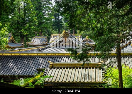 Toitures du sanctuaire Tosho-gu à Nikko, un complexe construit au XVIe siècle et dédié à Tokugawa Ieyasu, le fondateur du shogunat Tokugawa Banque D'Images