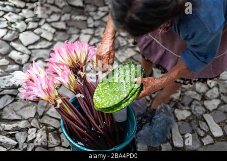 Un vendeur prépare du cactus de poirier à vendre sur le marché de Cuetzalan, Puebla, Mexique. Banque D'Images
