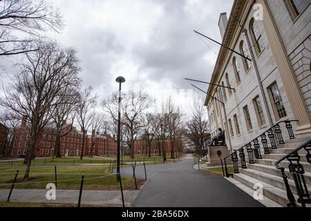 25 mars 2020, Harvard College, Cambridge, Massachusetts, États-Unis : Vider Harvard Yard à Cambridge, ma. Le président de l'Université Harvard, Lawrence S. Bacow, a annoncé que lui et sa femme ont fait des tests positifs pour le coronavirus mardi 24 mars. L'Université Harvard a fermé son campus plus tôt en mars. Banque D'Images