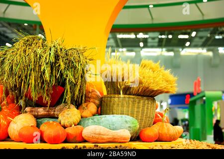 Exposition d'automne de produits agricoles, de légumes mûrs et de céréales. Banque D'Images