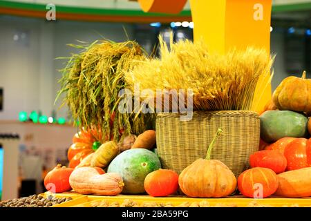 Exposition d'automne de produits agricoles, de légumes mûrs et de céréales. Banque D'Images