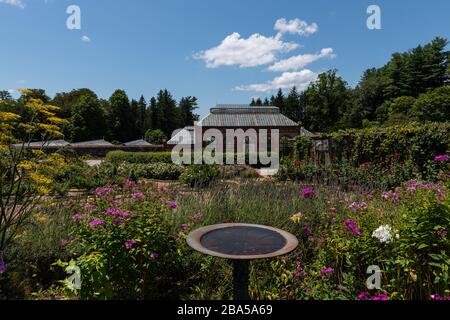 Asheville, Caroline du Nord - 24 juillet 2019 - belles fleurs dans le jardin d'hiver de Biltmore. Banque D'Images