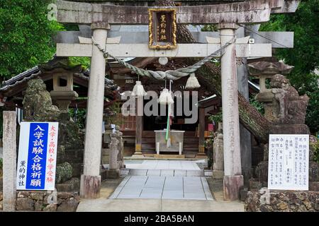 Sanctuaire de Kunteki, ville de Kochi, île de Shikoku, Japon, Asie Banque D'Images