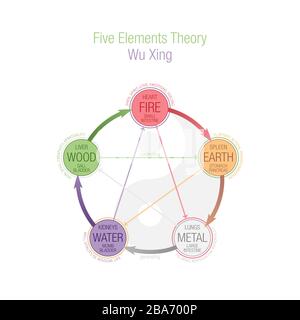 Cinq éléments théorie illustration colorée. Wuxing, Wu Xing, 5 éléments du Daoisme et de la TCM, médecine chinoise traditionnelle. Illustration conceptuelle, couleur Banque D'Images