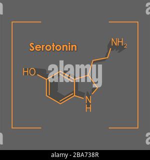 L'hormone formule la sérotonine. Illustration de Vecteur