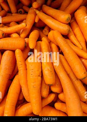 beaucoup de délicieuses carottes rouges mûres pour manger un fond Banque D'Images