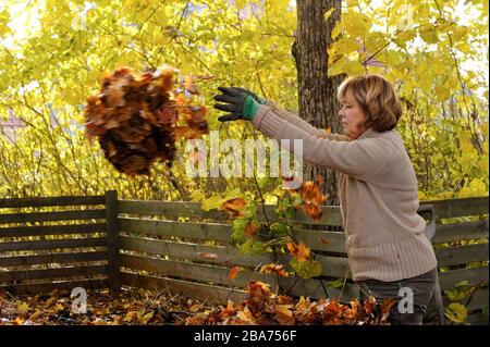 Une femme jetant des feuilles dans un compost Vingåker, Södermanland, Suède Banque D'Images