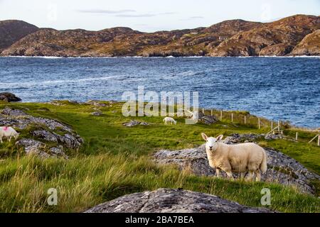 Belle vue sur la péninsule d'Achmelvich près de Lochinver dans les hautes terres de l'Ecosse Banque D'Images