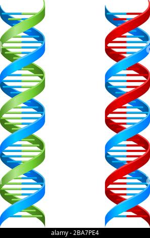Illustration de la molécule d'ADN double hélice Illustration de Vecteur
