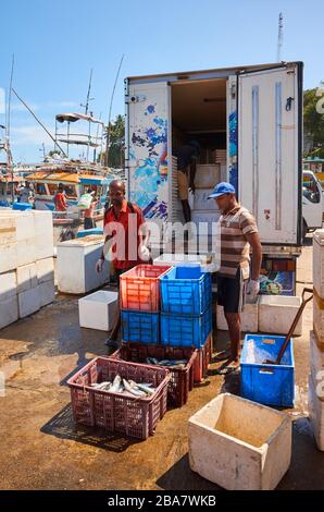 Tangalle, Sri Lanka - 27 décembre 2019 : hommes chargeant du poisson sur le quai du port de pêche de Tangalle. Banque D'Images
