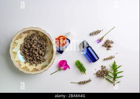 Bouteilles d'huiles essentielles d'aromathérapie, graines de lavande fraîches et séchées dans un bol, pétales de fleurs et herbes Banque D'Images