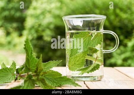 Thé frais à base de plantes d'ortie. Feuilles d'ortie verte dans un verre dans un jardin sur une table en bois avec des feuilles fraîches en premier plan. Ortie commune ou picole Banque D'Images