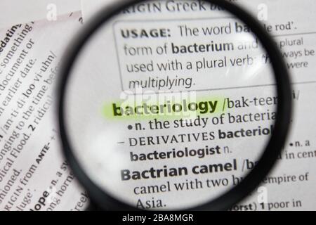 Le mot ou la phrase bactériologie dans un dictionnaire. Banque D'Images