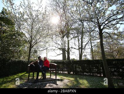 SOUS EMBARGO JUSqu'au 0001 VENDREDI 27 MARS Ruslan Thaher et Marissa Szabo s'assoient sous des arbres en fleurs dans le jardin de Kyoto à Holland Park, Londres. Le National Trust incite les gens à célébrer la saison des fleurs au Royaume-Uni, en incargeant une ancienne tradition japonaise qui marque l'arrivée du printemps, en encourageant les gens qui peuvent voir des arbres de la fenêtre, dans leur jardin ou dans la rue en pleine floraison à faire une pause et à profiter de la vue, et de partager leurs images sur les réseaux sociaux pour ceux qui ne peuvent pas les voir. Banque D'Images