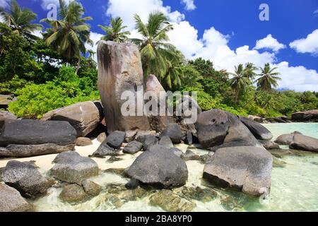 Felsen und Palmen, La Digue, Seychellen Indischer Ozean, Banque D'Images