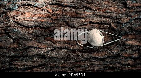 Un masque blanc se bloque sur une branche d'arbre dans une forêt - closeup. En raison d'un masque insuffisant pendant la crise de Covid-19. Quarantaine du virus Corona. Banque D'Images