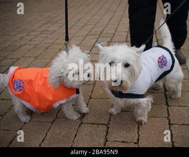 Les fans de Fylde Trixie et Bradley arrivent pour le match Banque D'Images