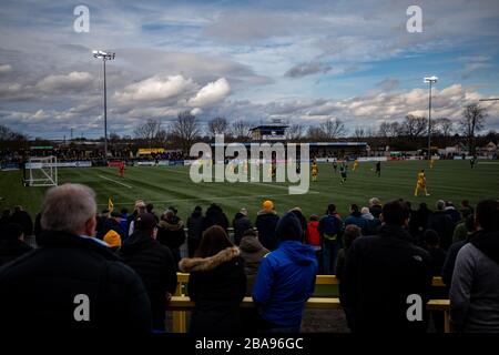 Vue générale des fans de Sutton United pendant le jeu Banque D'Images