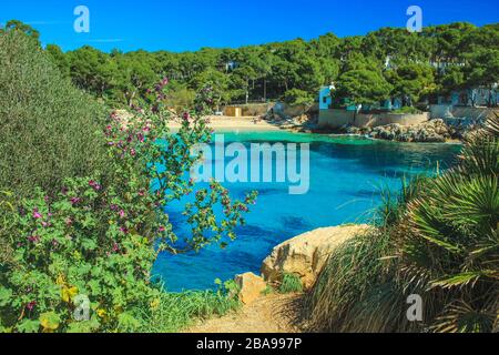 Plage de Cala Gat - vue sur la magnifique côte idyllique à Cala Rajada, Majorque, Espagne Banque D'Images