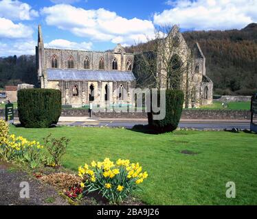 Abbaye de Tintern, vallée de la Wye, Monmouthshire, Galles du Sud. Banque D'Images