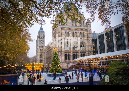LONDON-Natural History Museum, un bâtiment historique et une attraction touristique populaire à Kensington Banque D'Images