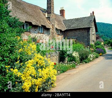 Cottage en chaume, Bossington, Exmoor, Somerset. Banque D'Images