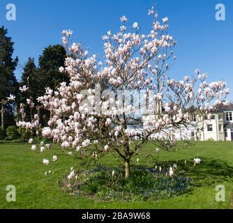 Reveley Lodge Gardens, Herfordshire, Royaume-Uni . Belle maison victorienne, jardins et salons de thé. La faune et la flore glorieuses. Ruches, étang et jardin de cuisine Banque D'Images