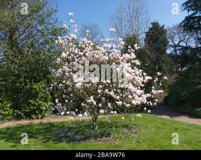 Reveley Lodge Gardens, Herfordshire, Royaume-Uni . Belle maison victorienne, jardins et salons de thé. La faune et la flore glorieuses. Ruches, étang et jardin de cuisine Banque D'Images