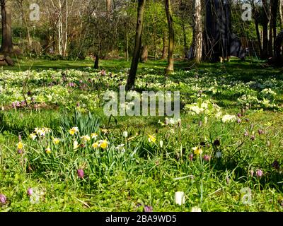 Reveley Lodge Gardens, Herfordshire, Royaume-Uni . Belle maison victorienne, jardins et salons de thé. La faune et la flore glorieuses. Ruches, étang et jardin de cuisine Banque D'Images