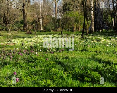 Reveley Lodge Gardens, Herfordshire, Royaume-Uni . Belle maison victorienne, jardins et salons de thé. La faune et la flore glorieuses. Ruches, étang et jardin de cuisine Banque D'Images