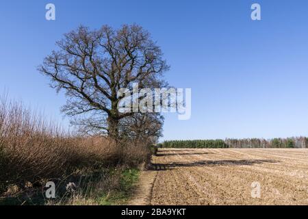 Campagne en bordure de la ville de Northampton, Royaume-Uni; un site de friches industrielles réservé à un grand domaine résidentiel. Banque D'Images